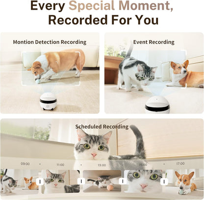 ROLA Mini Familybot 2K Pet Camera Robot: Movable Indoor Camera Battery-Powered with Phone App, One-Touch Call, 2-Way Talk, Night Vision, Motion Detection, Video Recording