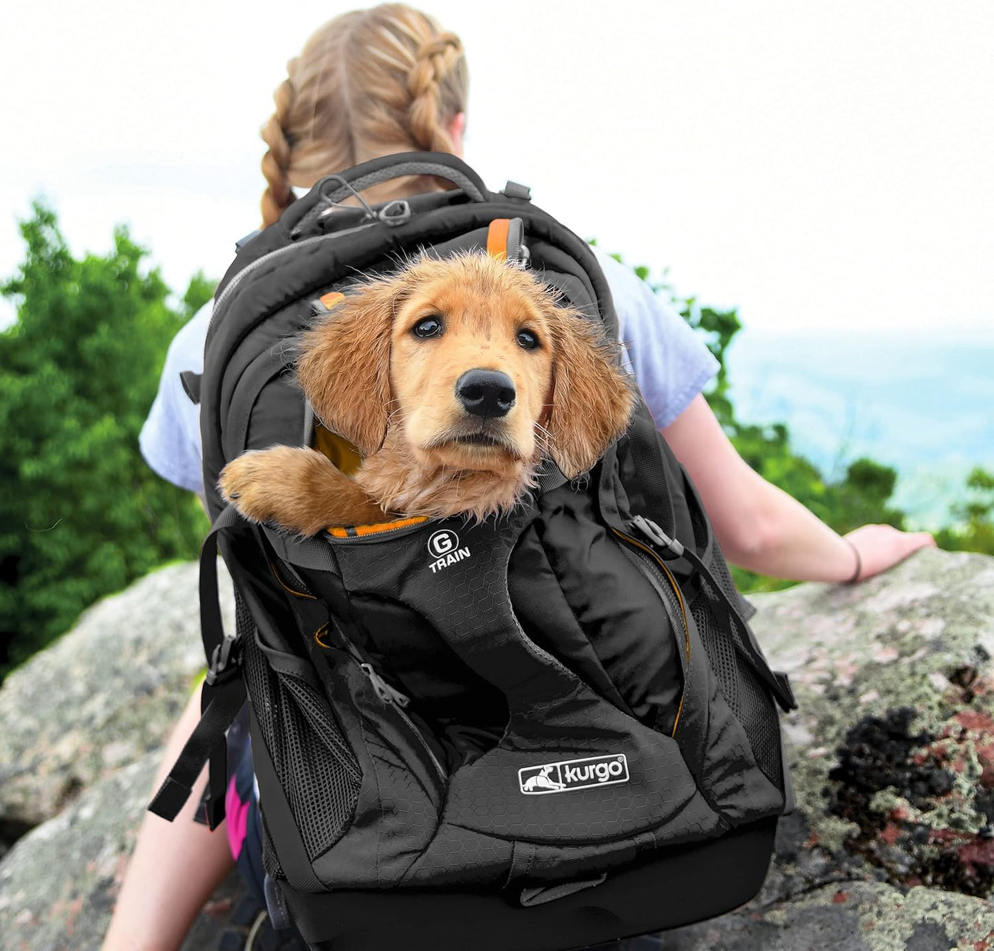 G-Train Dog Carrier Backpack - Comfortable Travel Bag for Pets up to 25 Lbs - Waterproof Bottom - Multi-Compartment Pack - Dog Hiking Gear - Rugged Adventure Backpack - Black