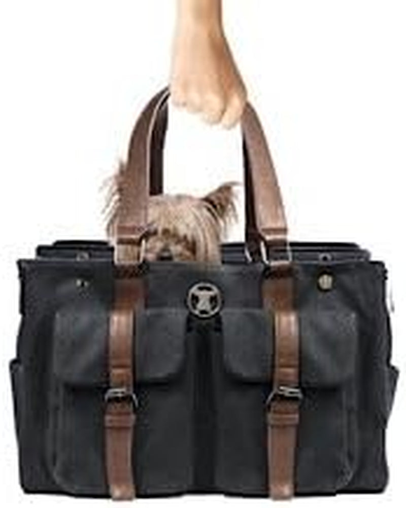 Weekend Black Canvas Interchangeable Airline Approved Pet Carrier Combo with Pockets for Small Dogs (Pet Carrier Base & Shell Tote)