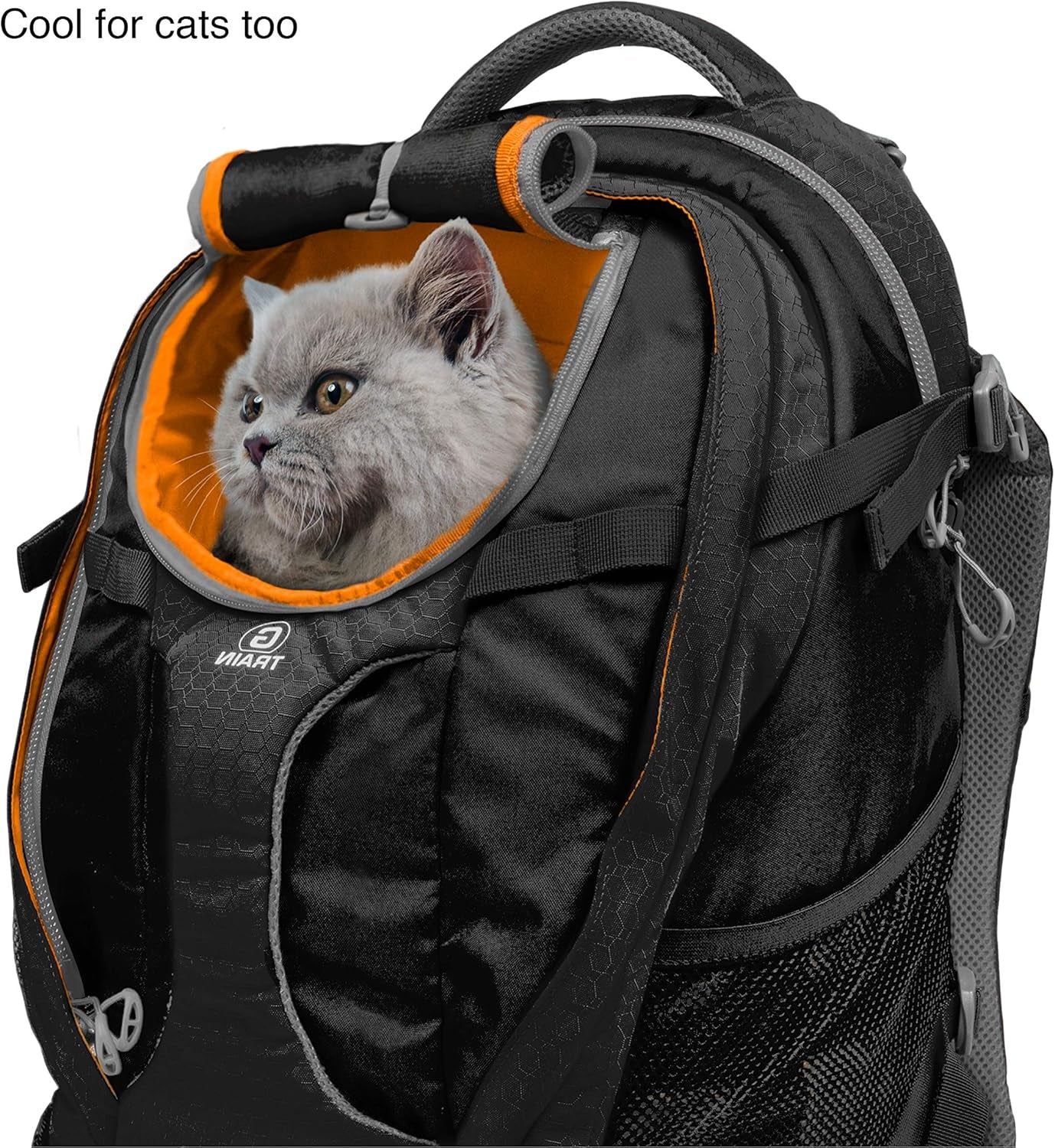 G-Train Dog Carrier Backpack - Comfortable Travel Bag for Pets up to 25 Lbs - Waterproof Bottom - Multi-Compartment Pack - Dog Hiking Gear - Rugged Adventure Backpack - Black